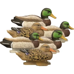 Mallard Duck Decoy Set